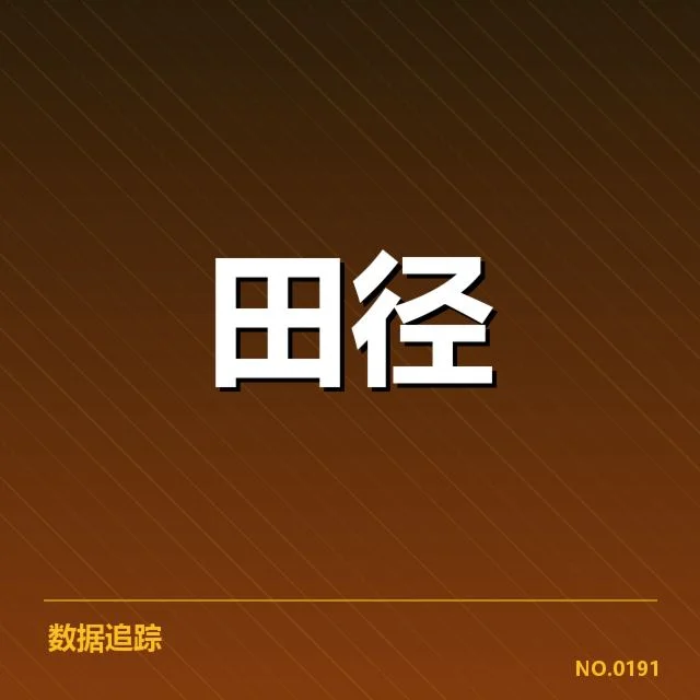 主要运动员的表现与名次确认